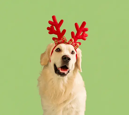 How Seasonal Icons Drove 11% More High-Value Users and Measurable Revenue Growth