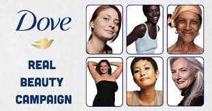 Dove Dove